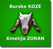 Logotip